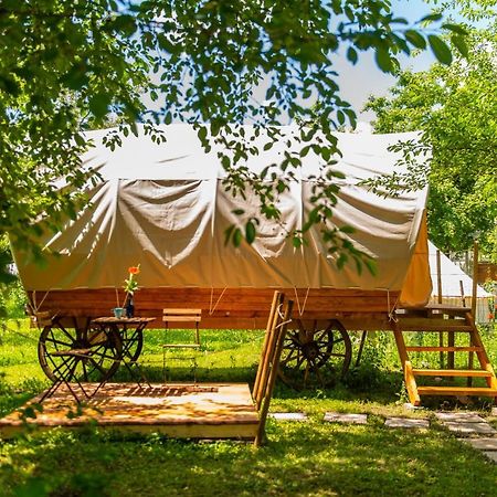 Dragonfly Gardens - The Wagons Hotel Brasov Ngoại thất bức ảnh