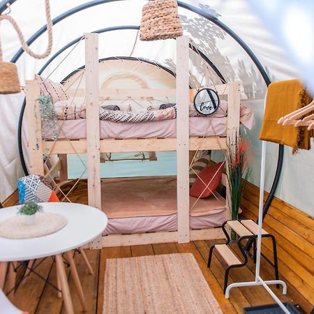 Dragonfly Gardens - The Wagons Hotel Brasov Ngoại thất bức ảnh