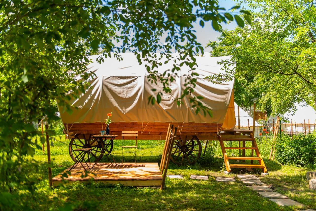 Dragonfly Gardens - The Wagons Hotel Brasov Ngoại thất bức ảnh