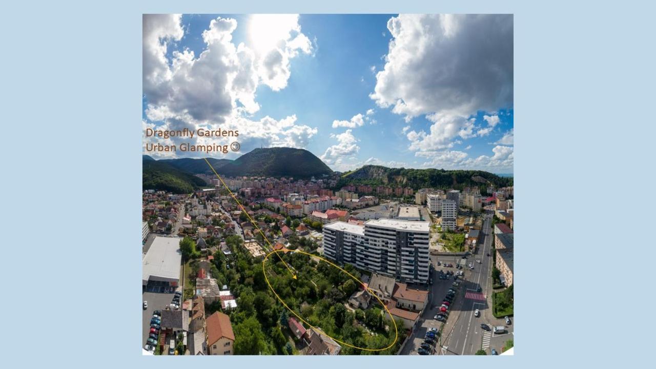 Dragonfly Gardens - The Wagons Hotel Brasov Ngoại thất bức ảnh