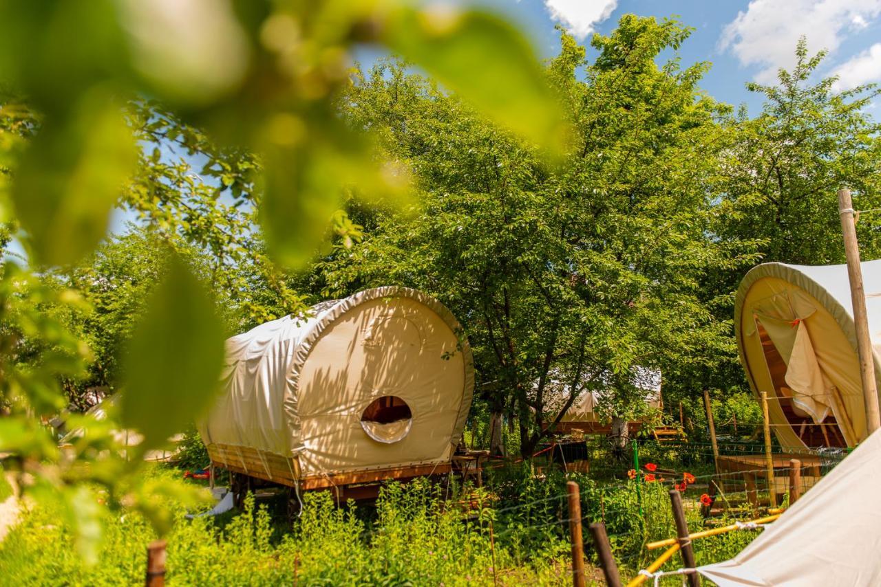 Dragonfly Gardens - The Wagons Hotel Brasov Ngoại thất bức ảnh