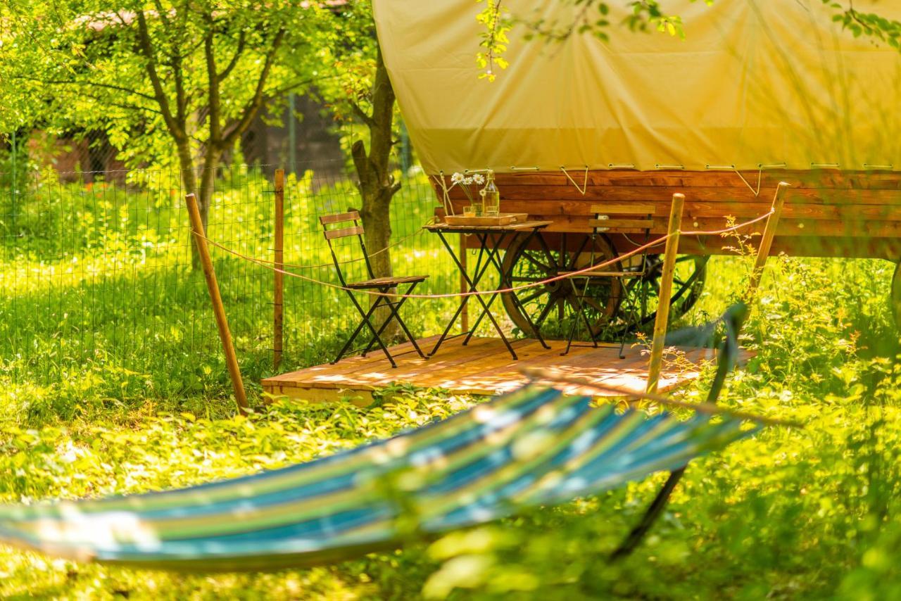 Dragonfly Gardens - The Wagons Hotel Brasov Ngoại thất bức ảnh