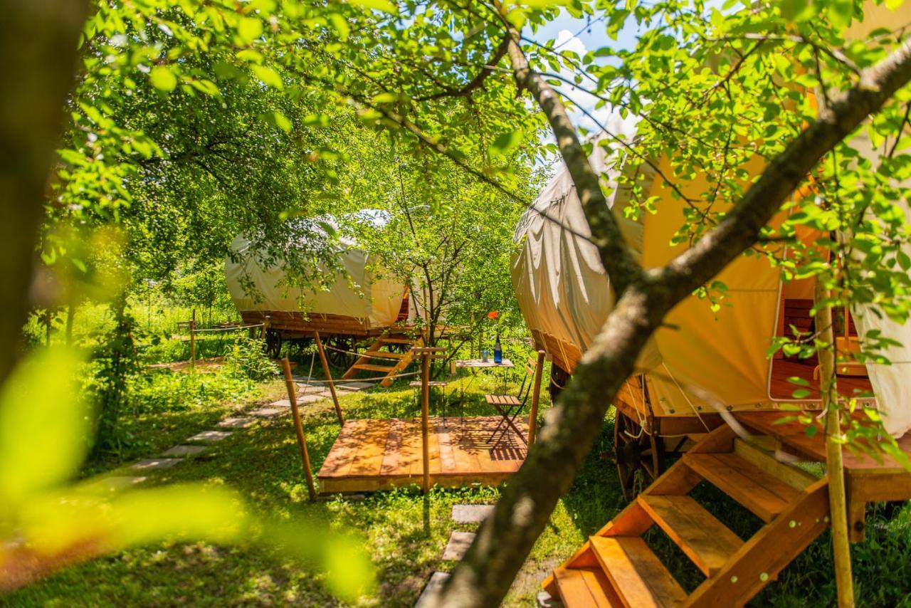 Dragonfly Gardens - The Wagons Hotel Brasov Ngoại thất bức ảnh