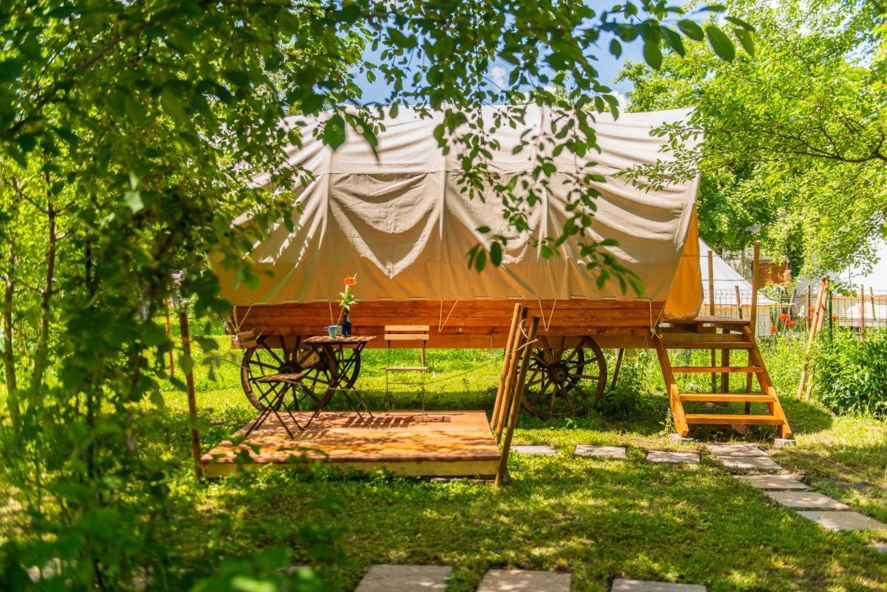 Dragonfly Gardens - The Wagons Hotel Brasov Ngoại thất bức ảnh