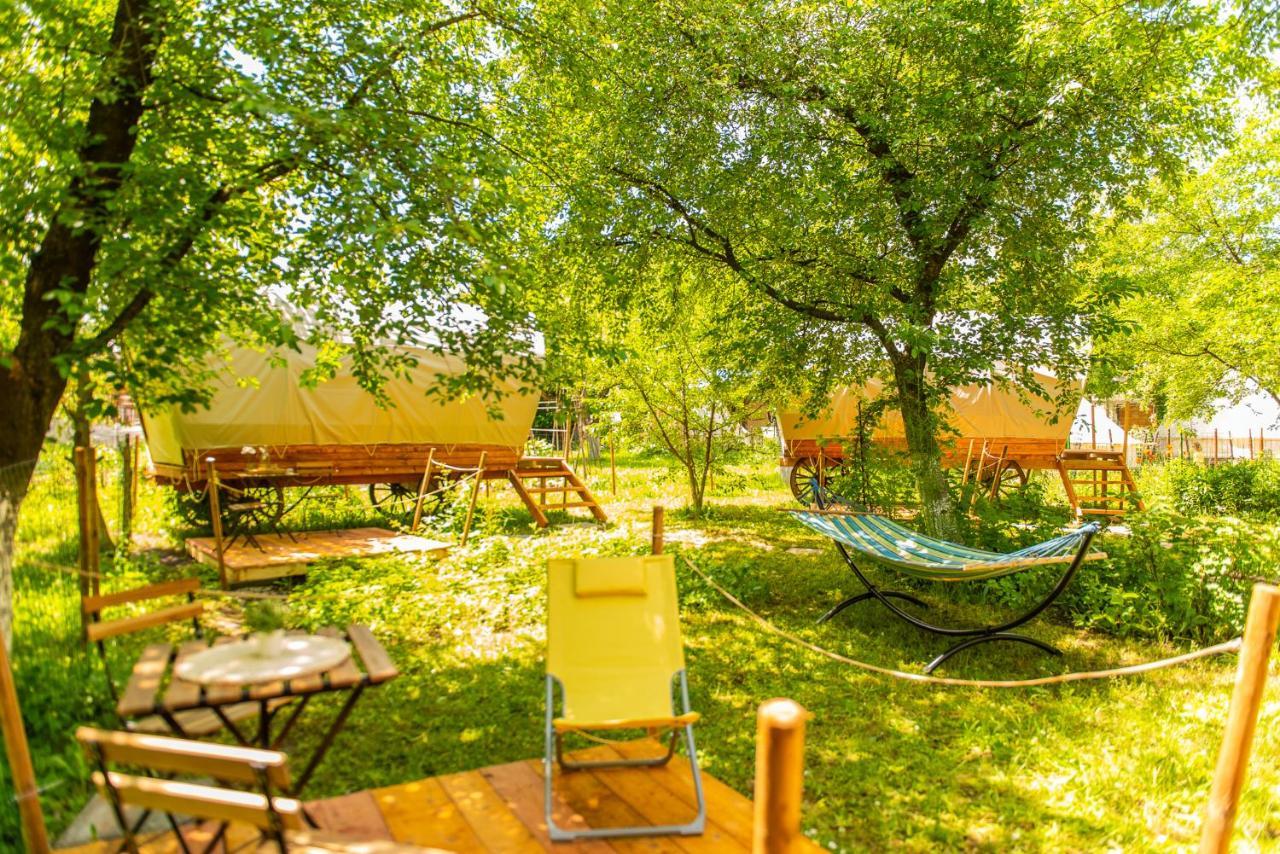 Dragonfly Gardens - The Wagons Hotel Brasov Ngoại thất bức ảnh