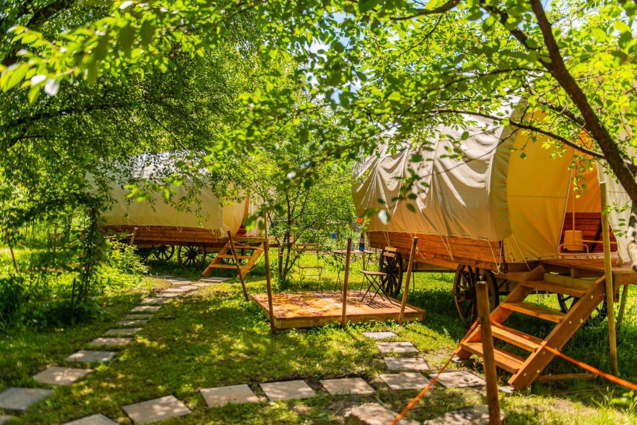 Dragonfly Gardens - The Wagons Hotel Brasov Ngoại thất bức ảnh