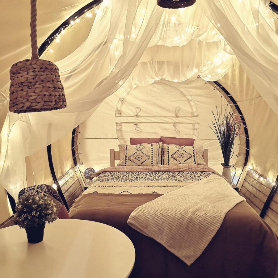 Dragonfly Gardens - The Wagons Hotel Brasov Ngoại thất bức ảnh