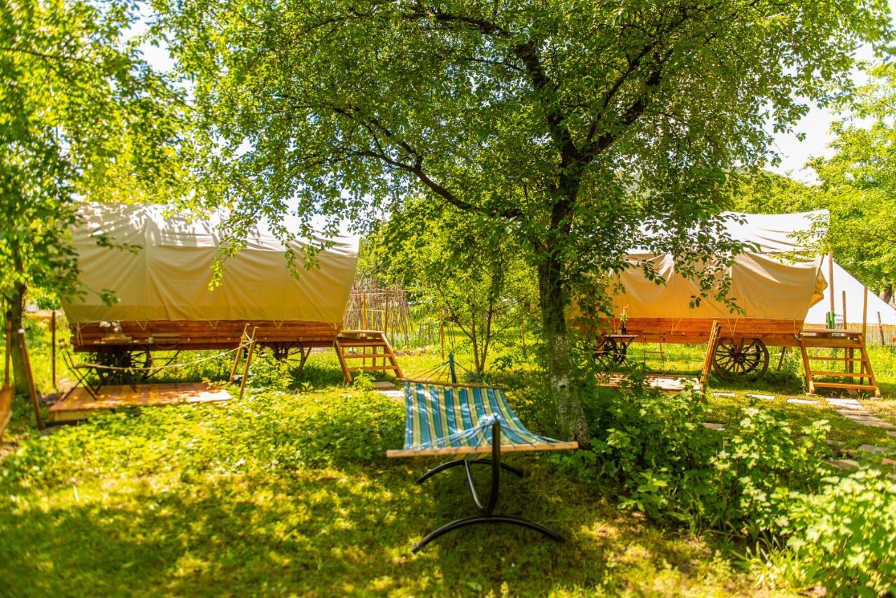 Dragonfly Gardens - The Wagons Hotel Brasov Ngoại thất bức ảnh