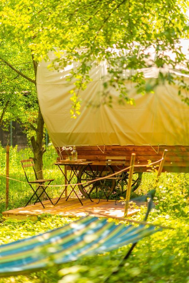 Dragonfly Gardens - The Wagons Hotel Brasov Ngoại thất bức ảnh