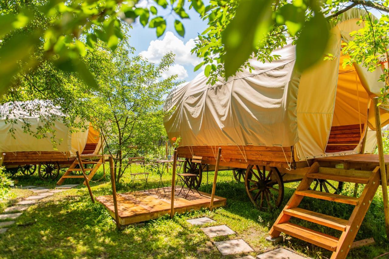 Dragonfly Gardens - The Wagons Hotel Brasov Ngoại thất bức ảnh