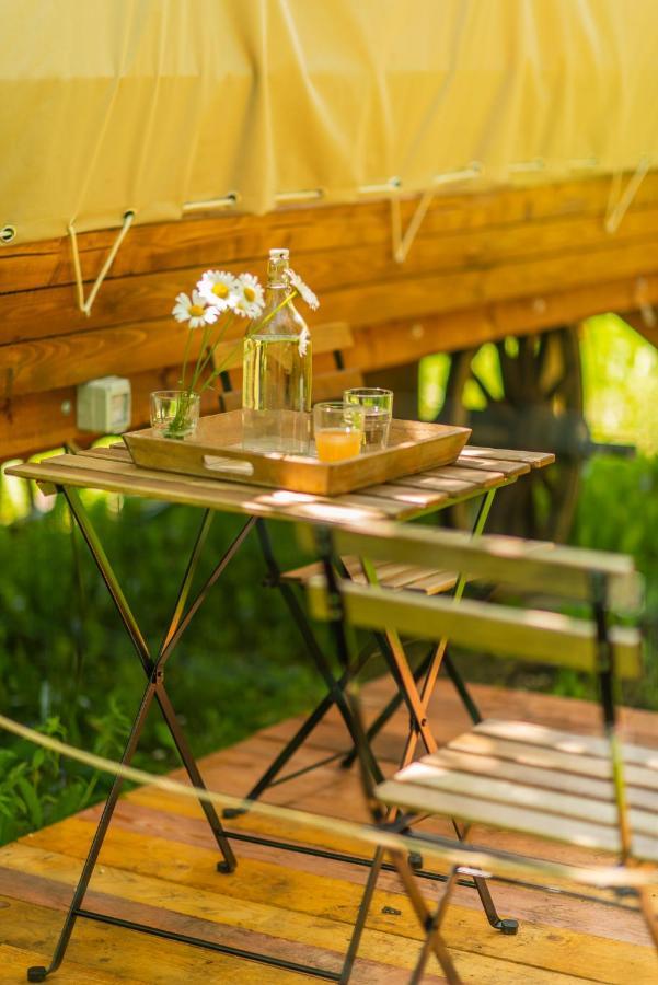 Dragonfly Gardens - The Wagons Hotel Brasov Ngoại thất bức ảnh