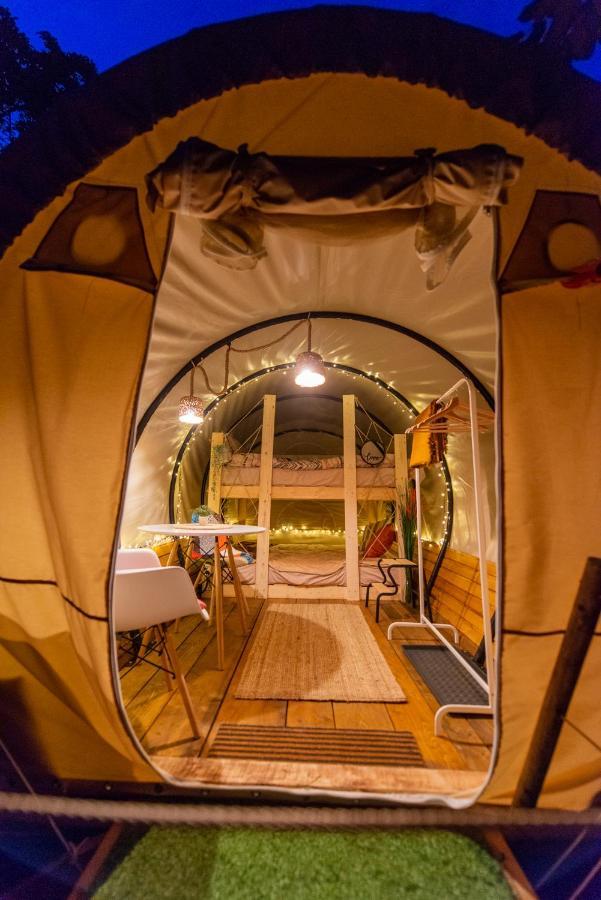 Dragonfly Gardens - The Wagons Hotel Brasov Ngoại thất bức ảnh