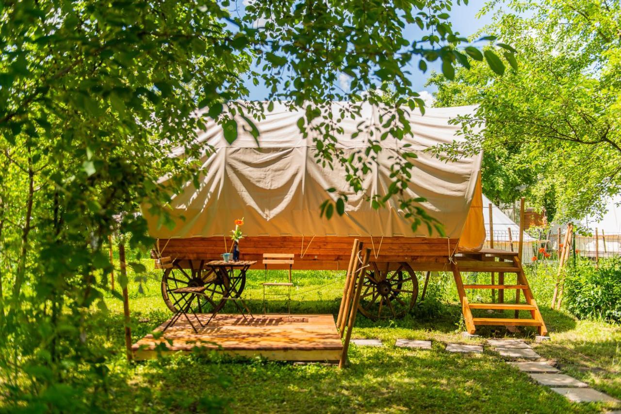 Dragonfly Gardens - The Wagons Hotel Brasov Ngoại thất bức ảnh