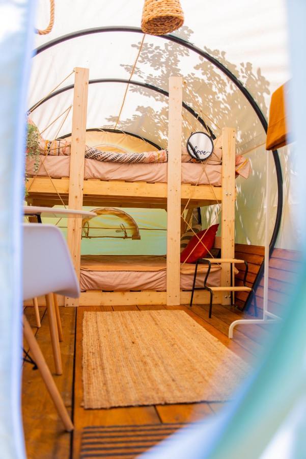 Dragonfly Gardens - The Wagons Hotel Brasov Ngoại thất bức ảnh