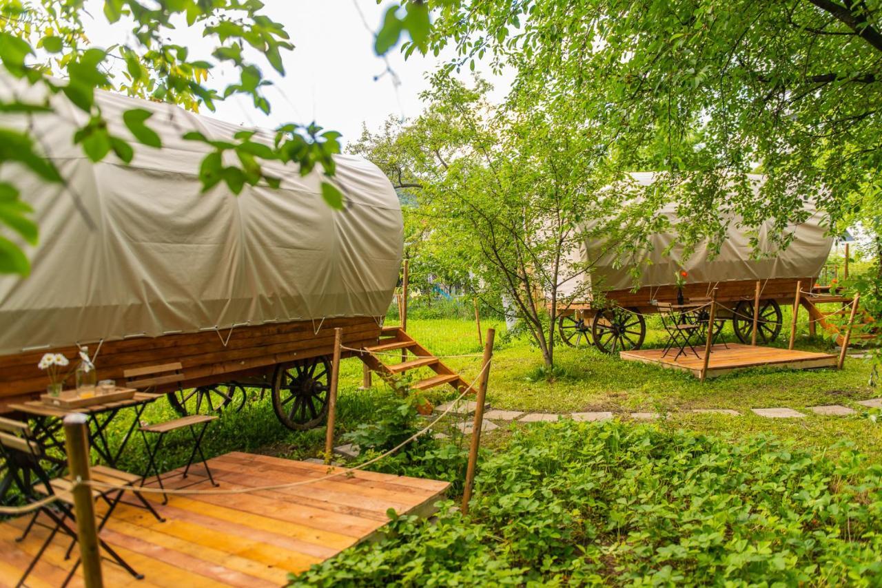 Dragonfly Gardens - The Wagons Hotel Brasov Ngoại thất bức ảnh