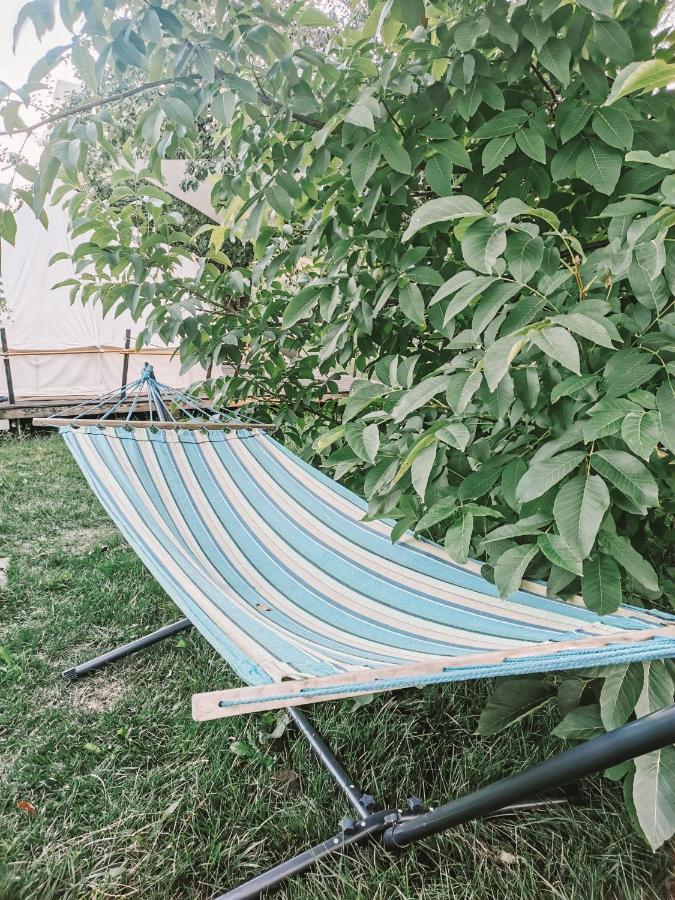 Dragonfly Gardens - The Wagons Hotel Brasov Ngoại thất bức ảnh