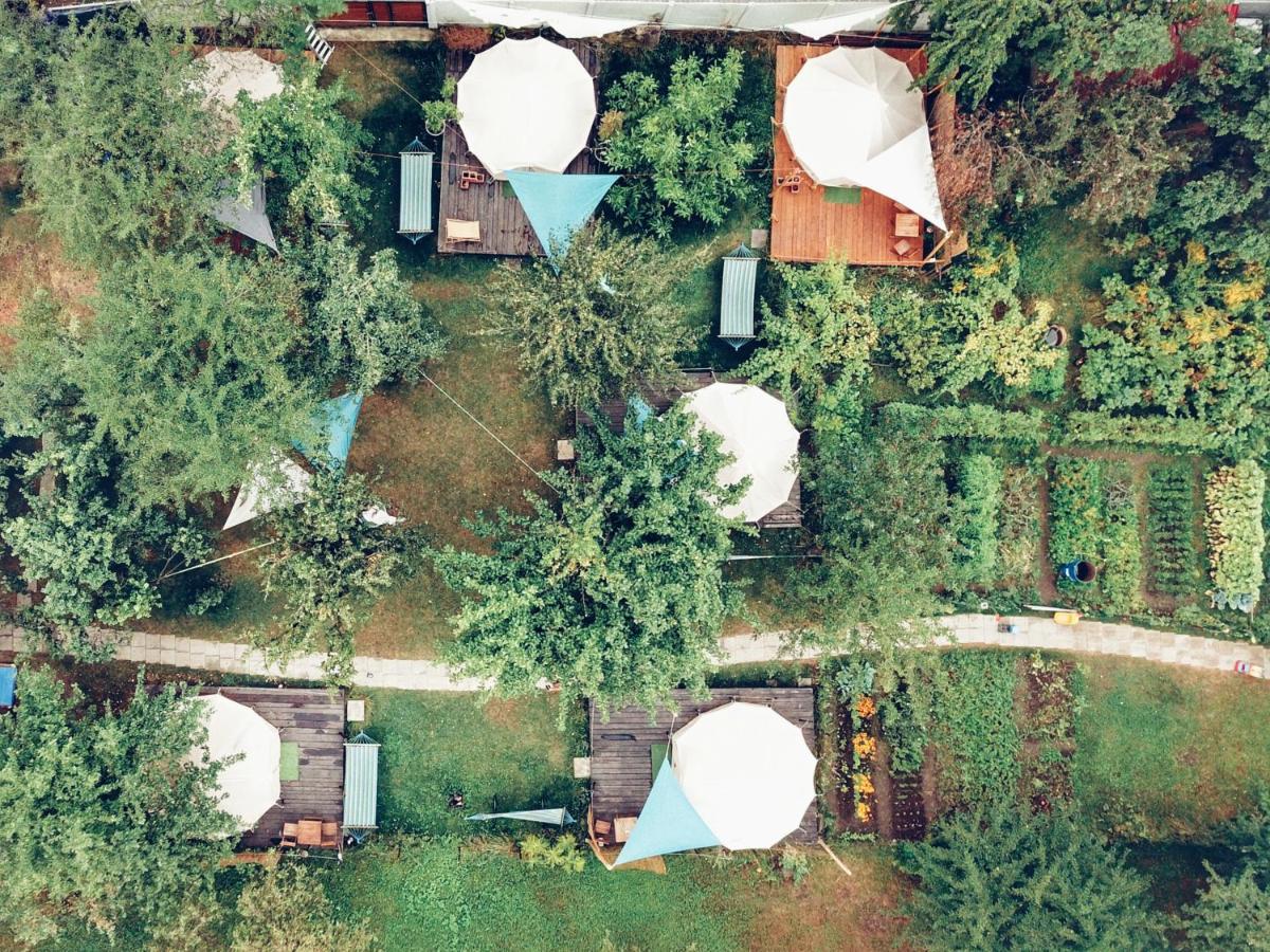 Dragonfly Gardens - The Wagons Hotel Brasov Ngoại thất bức ảnh