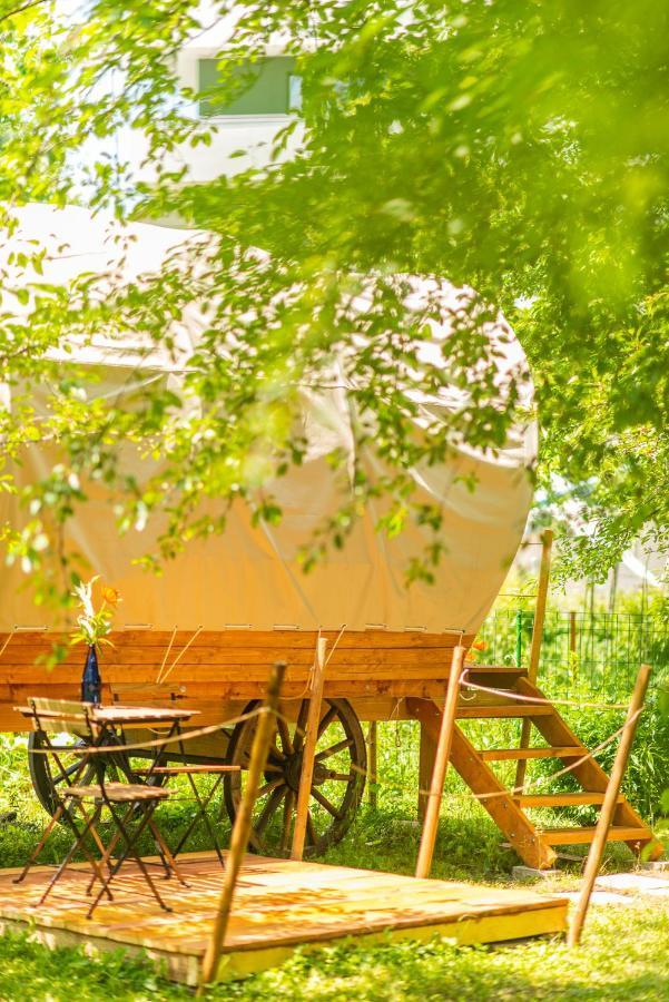 Dragonfly Gardens - The Wagons Hotel Brasov Ngoại thất bức ảnh