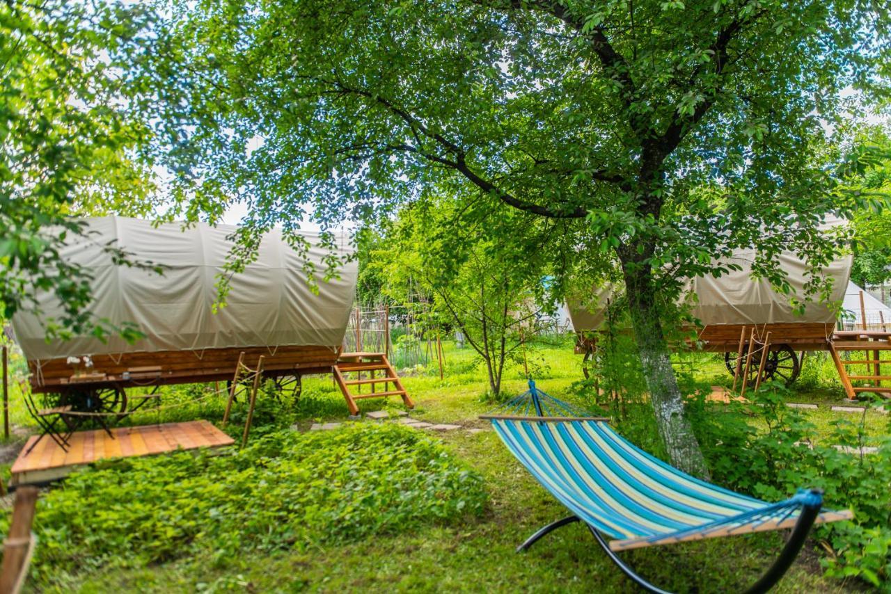 Dragonfly Gardens - The Wagons Hotel Brasov Ngoại thất bức ảnh