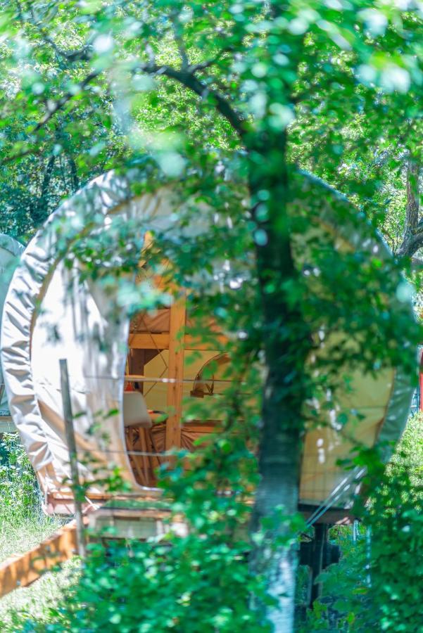 Dragonfly Gardens - The Wagons Hotel Brasov Ngoại thất bức ảnh