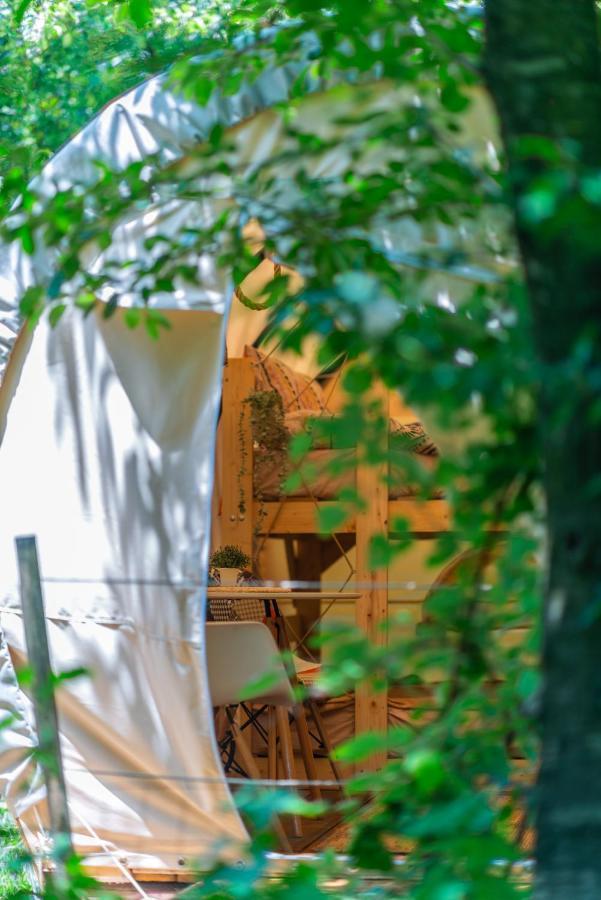 Dragonfly Gardens - The Wagons Hotel Brasov Ngoại thất bức ảnh