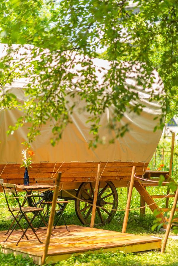 Dragonfly Gardens - The Wagons Hotel Brasov Ngoại thất bức ảnh