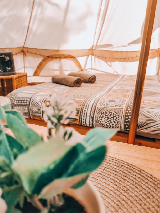 Dragonfly Gardens - The Wagons Hotel Brasov Ngoại thất bức ảnh