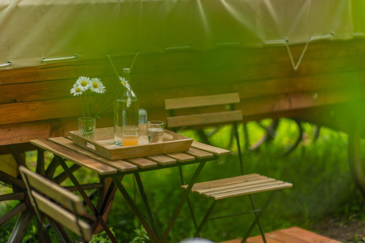 Dragonfly Gardens - The Wagons Hotel Brasov Ngoại thất bức ảnh