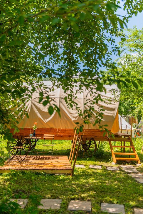 Dragonfly Gardens - The Wagons Hotel Brasov Ngoại thất bức ảnh