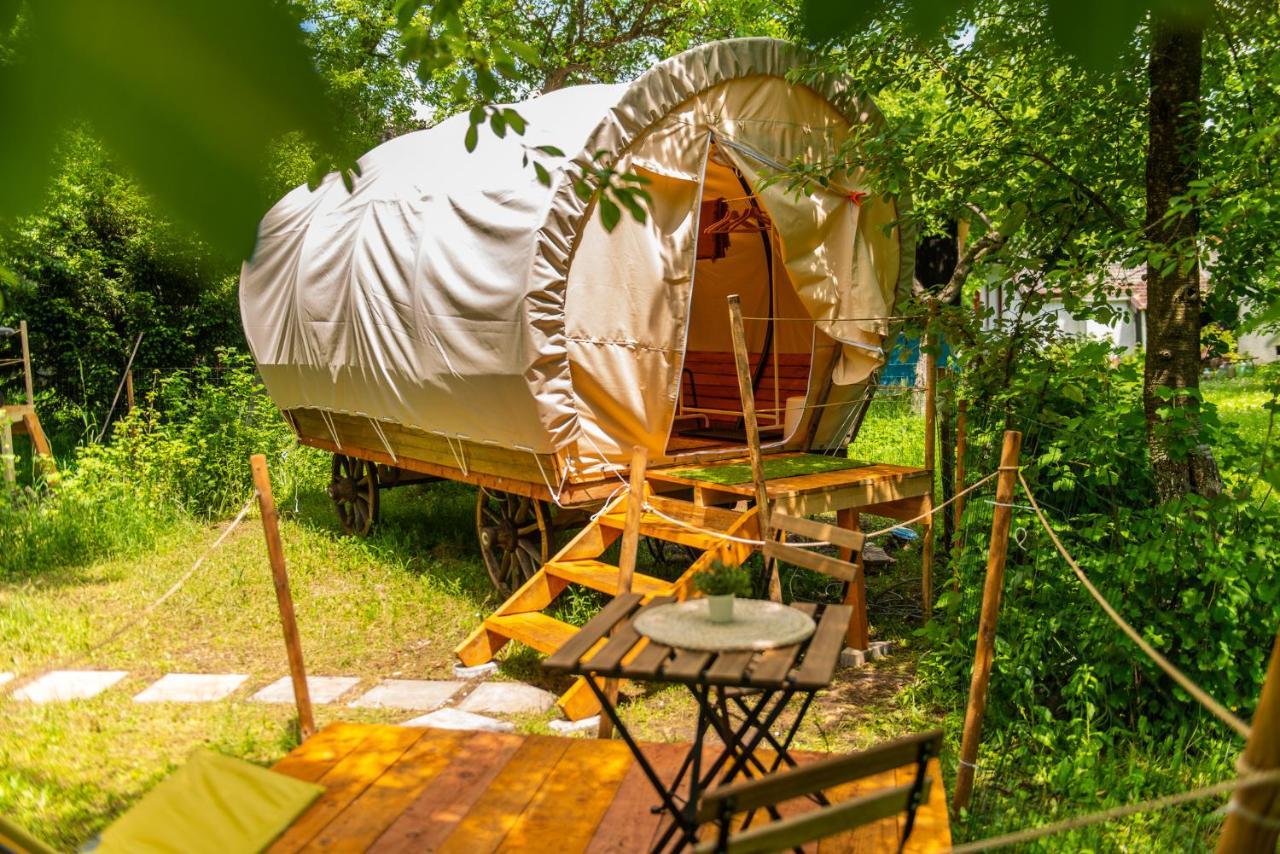 Dragonfly Gardens - The Wagons Hotel Brasov Ngoại thất bức ảnh