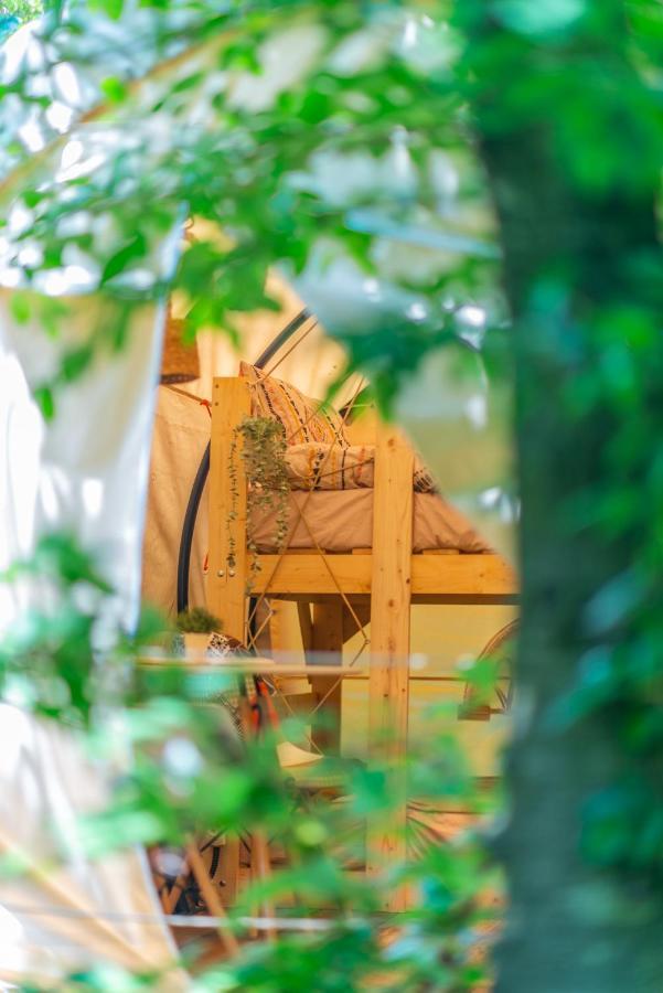Dragonfly Gardens - The Wagons Hotel Brasov Ngoại thất bức ảnh