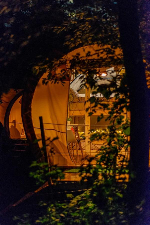 Dragonfly Gardens - The Wagons Hotel Brasov Ngoại thất bức ảnh