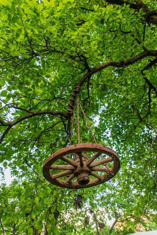 Dragonfly Gardens - The Wagons Hotel Brasov Ngoại thất bức ảnh