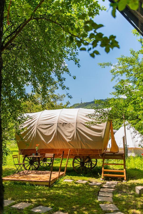 Dragonfly Gardens - The Wagons Hotel Brasov Ngoại thất bức ảnh
