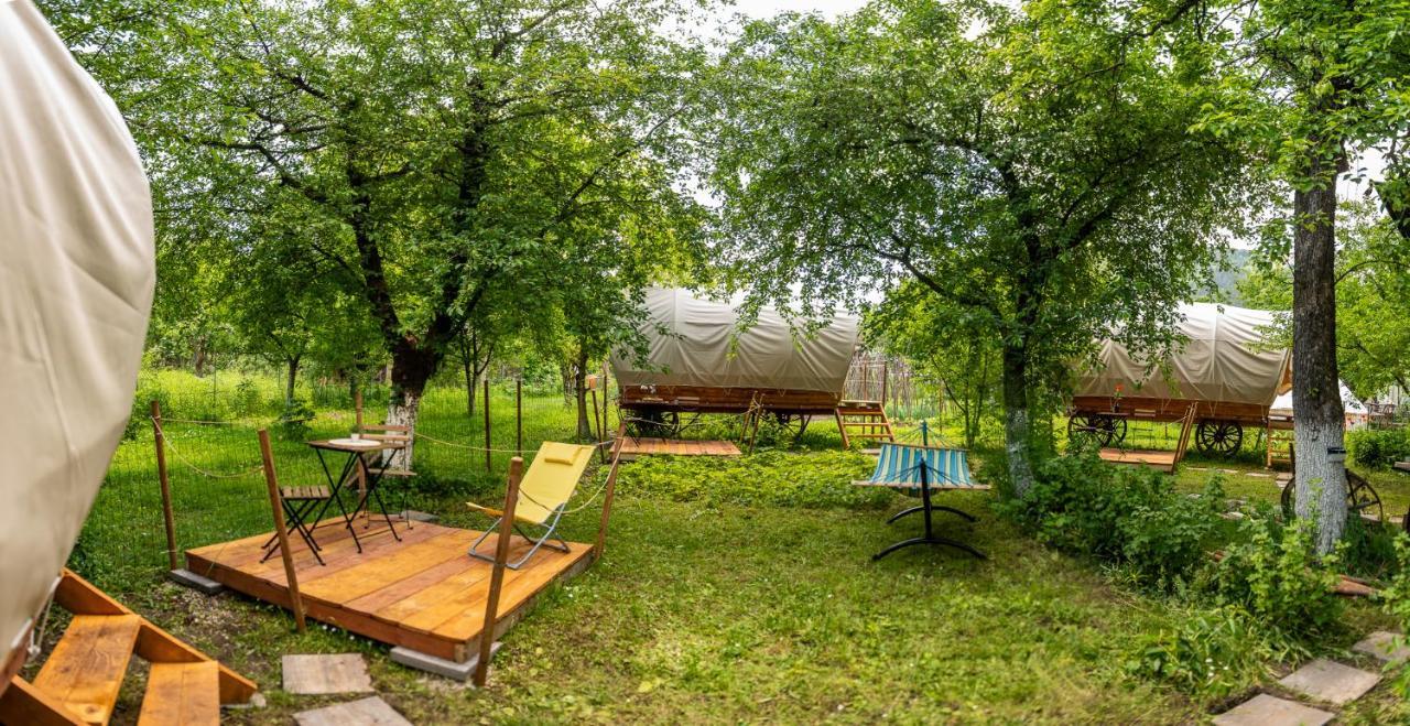Dragonfly Gardens - The Wagons Hotel Brasov Ngoại thất bức ảnh